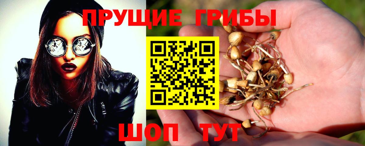 Галлюциногенные грибы мухоморы  Псилоцибиновые грибы ЛСД  Заволжье  сколько стоит  Вход с VPN 
