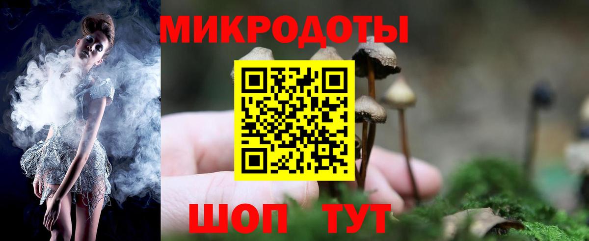 Псилоцибиновые грибы MAGIC MUSHROOMS Заволжье